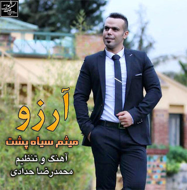 میثم سیاه پشت آرزو